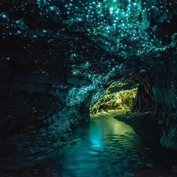 Glowwaarms Cave 