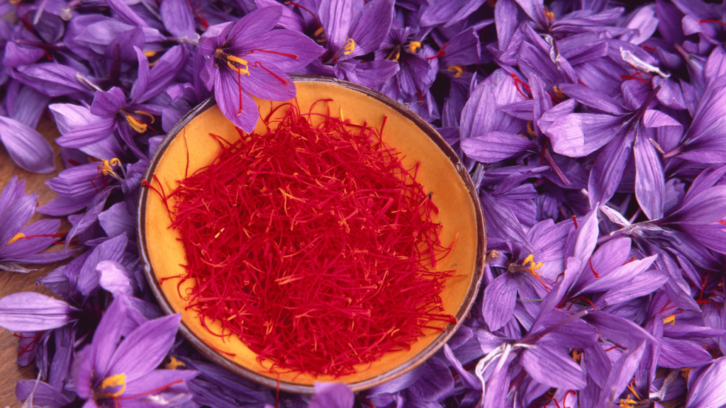 Once harvested, the saffron threads are dried to preserve their flavor, aroma, and color. This can be done by gently toasting them or by air-drying them in a cool, dry place.