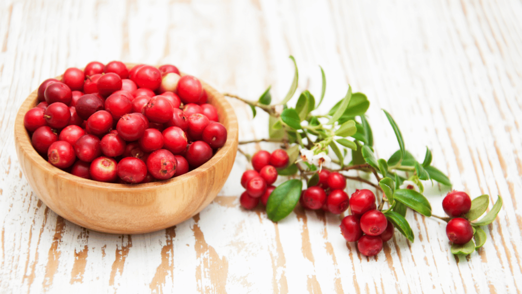 Fresh Cranberries Fruit: A Healthy Delight in 2023
