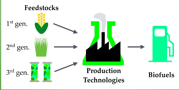 Details of biofuel
