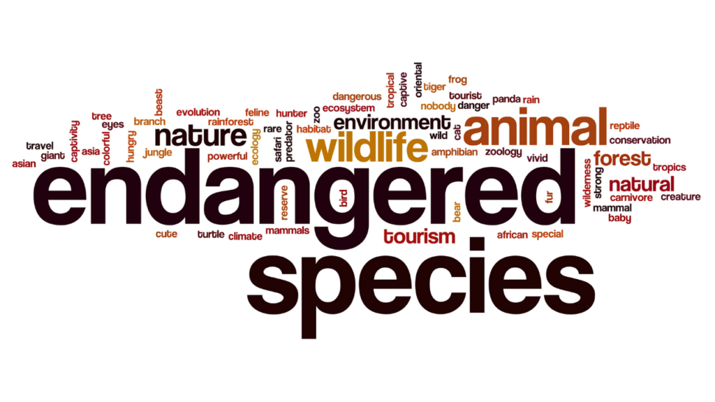 Endangered Species Of the World